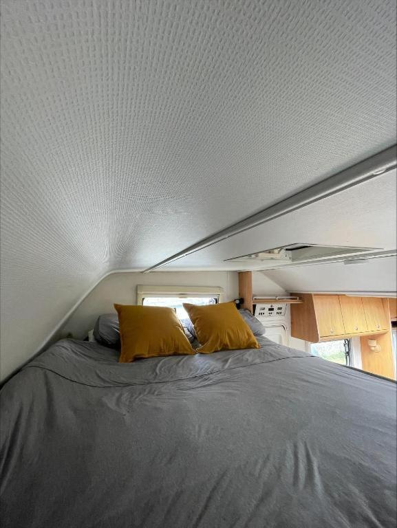 The Cosy Camper At Rockfield Park Hotel Голуей Екстериор снимка
